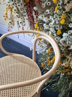 209 Armstol, hvid fra<Thonet Discount