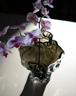 Ammonit Vase, new smoke fra<Hein Studio