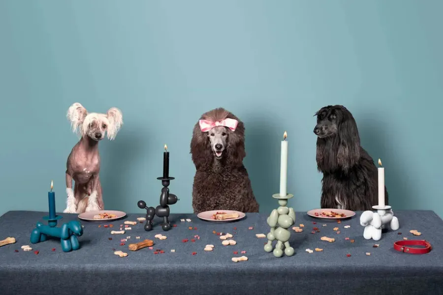 Can-Dog lysestage fra<Fatboy Sale