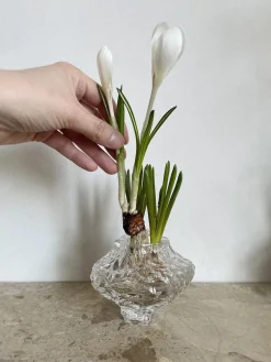 Canyon Vase Mini, clear fra<Hein Studio Best