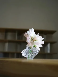 Canyon Vase Mini, clear fra<Hein Studio Best