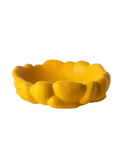 Cloud Fad, freesia yellow fra<raawii Best