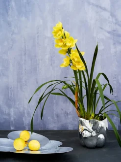 Cloud Vessel fra<Tom Dixon Online