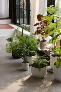 Collect Planter SC69 fra<&Tradition Online