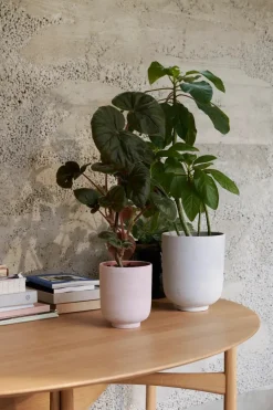 Collect Planter SC69 fra<&Tradition Online