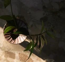 Cresco Propagation Vases, sæt á 2 stk. fra<Audo Copenhagen Clearance