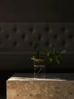 Cresco Propagation Vases, sæt á 2 stk. fra<Audo Copenhagen Clearance