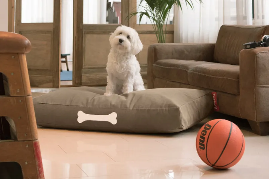 Doggielounge L Canvas Recycled - Hundekurv fra<Fatboy Clearance