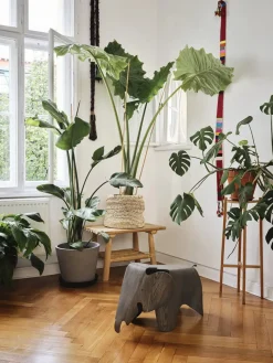 Eames Elephant, 75 års jubilæumsudgave fra<Vitra Hot