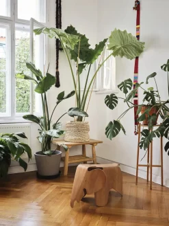 Eames Elephant Plywood fra<Vitra Clearance