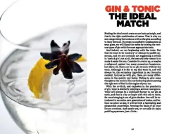 Gin & Tonic fra<New Mags Best