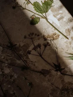 Konkylie Sofabord, marrone fra<Wabi Sabi Nordic Hot