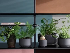 Free Reol 542000<Montana New