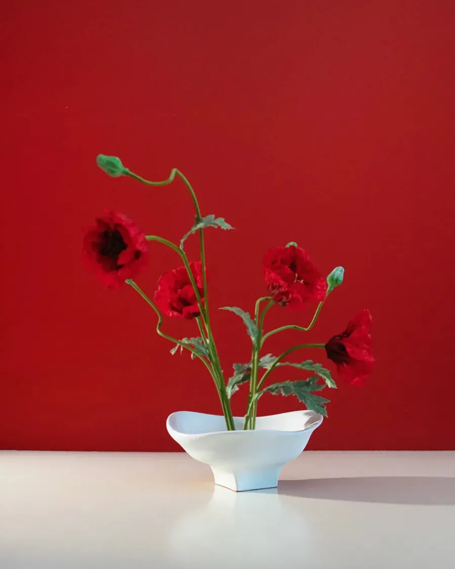 Nami Bowl Large fra<Hein Studio Clearance