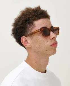 NEW DYLAN, brown havana fra<MessyWeekend Online