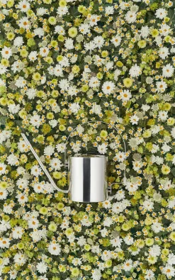 Original vandkande, 1,7 l fra<Stelton Best