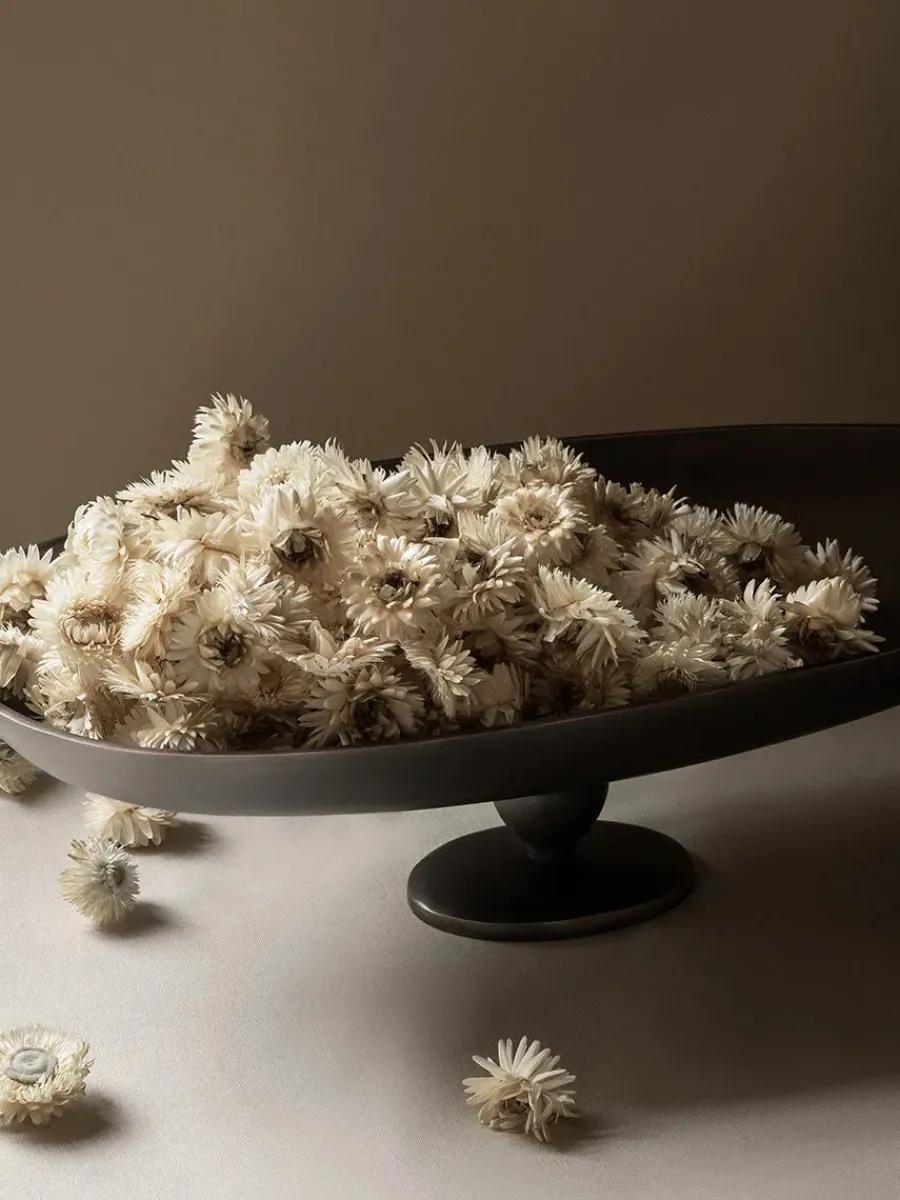 Pavot Centerpiece fra<Audo Copenhagen Hot