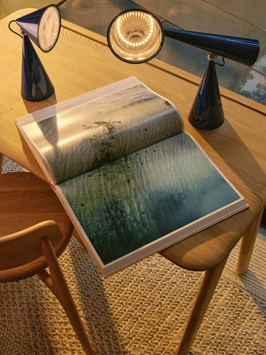 Pose Task LED Bordlampe fra<Tom Dixon Online