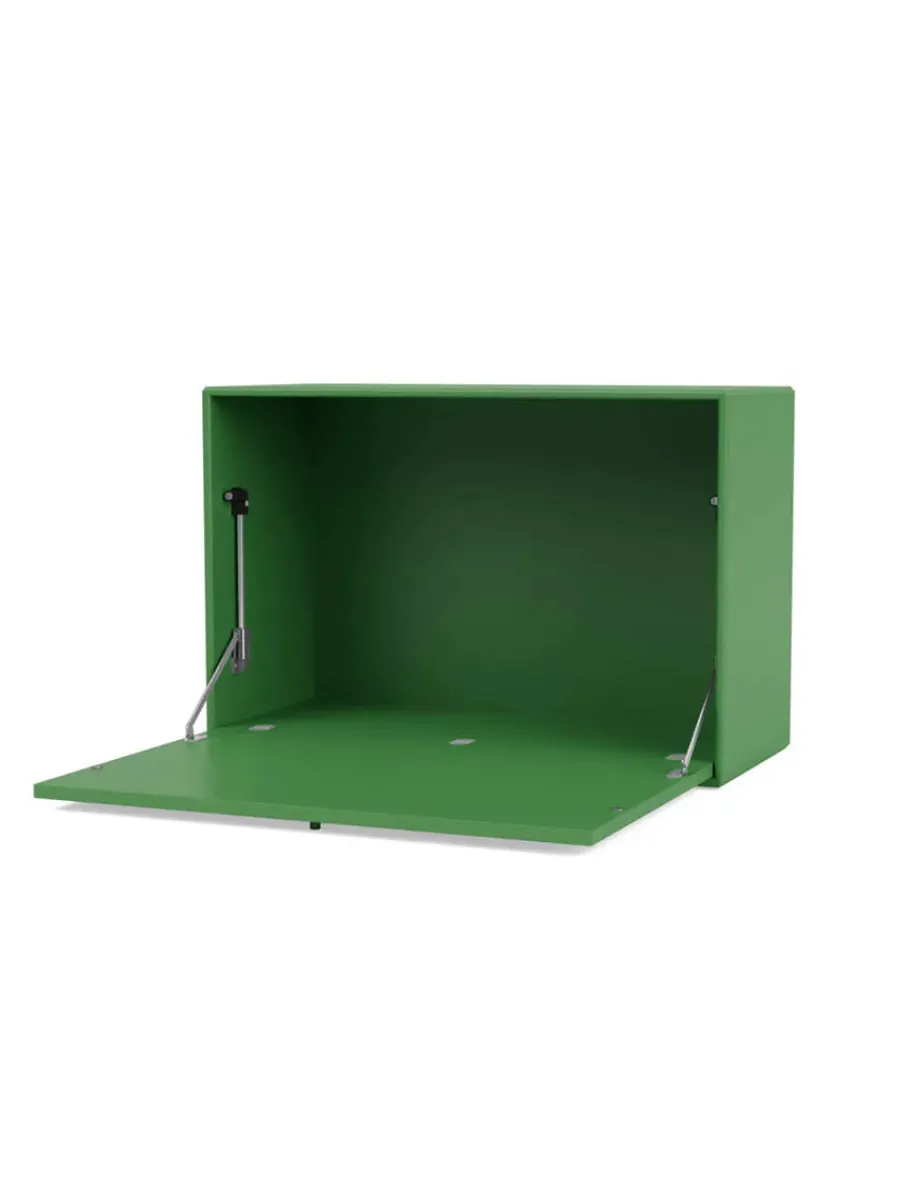 Skrivebordsmodul 4119 fra<Montana Online