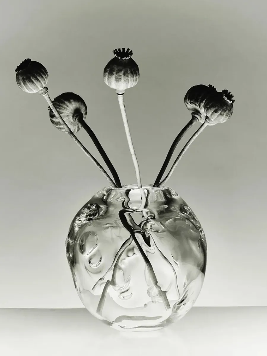 S.R. Vintage Vase Deco Clear fra<Louise Roe New