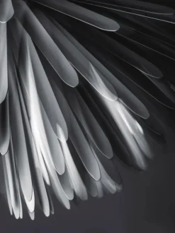 Sun - Light of Love Pendel fra<Foscarini New