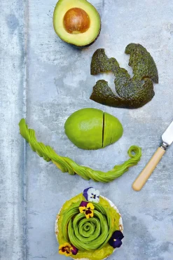 The Avocado Book fra<New Mags Clearance