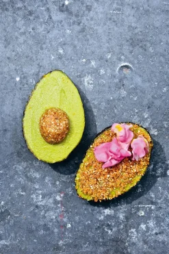 The Avocado Book fra<New Mags Clearance