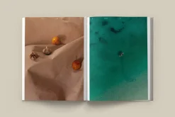 The Design Hotels Book – Taste and Place fra<New Mags Sale