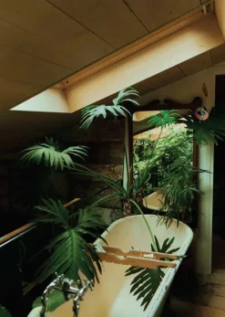 The Kinfolk Garden fra<New Mags Clearance