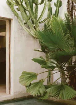 The Kinfolk Garden fra<New Mags Clearance