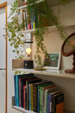 The Muse Portable Lampe, Hackles Black fra<Tala Clearance