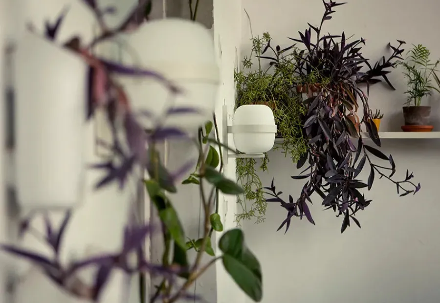 Wally Cestita Væglampe fra Santa and Cole<Santa & Cole Clearance